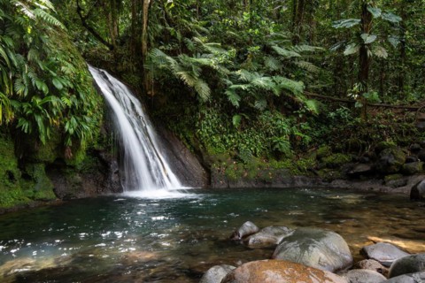 Pure nature, a waterfall with a pool in the forest. The Ecrevisses waterfalls, Cascade aux