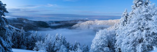 Winter on the Feldberg in front of sunrise, Breisgau-Hochschwarzwald district, Baden-Wuerttemberg,