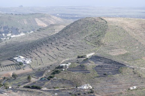 Agriculture terraced landscape seen from the Mirador del Guinate, Haria, Lanzarote, Canary Islands,