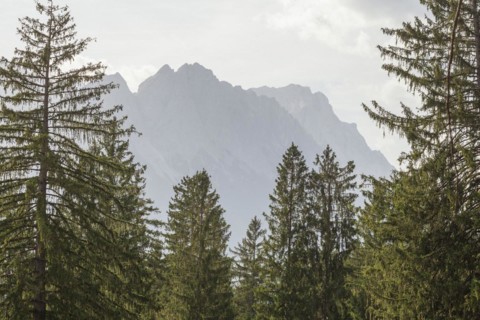 Wetterstein mountains with Zugspitze massif and forest in autumn, hiking trail Kramerplateauweg,