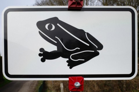 Signpost for toad migration, Lower Rhine, North Rhine-Westphalia, Germany, Europe