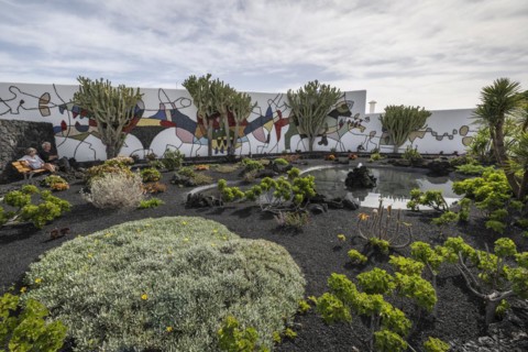Garden in the inner courtyard of the Fundacion Cesar Manrique, Lanzarote, Canary Islands, Spain,