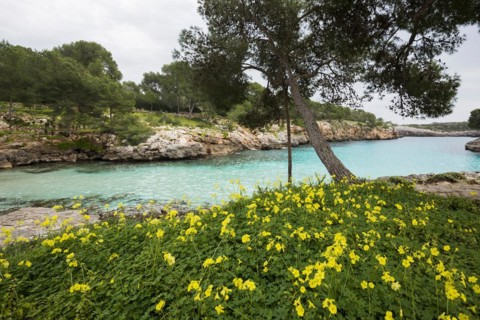 Cala Mitjana, Cala d'Or, Majorca, Balearic Islands, Spain, Europe