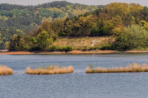 Landscape of lake with three small islands in the middle of lake and shoreline with a small