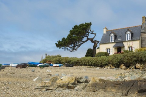 Houses on the beach, Plougrescant, Cote de Granit Rose, Cotes d'Armor, Brittany, France, Europe