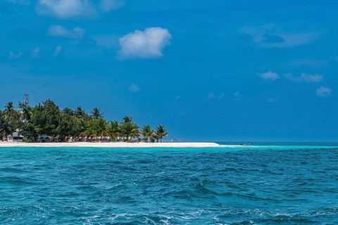 Palm fringed white sand beach, Agatti Island, Lakshadweep archipelago, Union territory of India