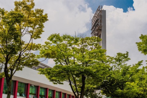Stadium lights towering over lush trees in an urban setting, in South Korea