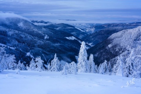 Winter on the Feldberg in front of sunrise, Breisgau-Hochschwarzwald district, Baden-Wuerttemberg,