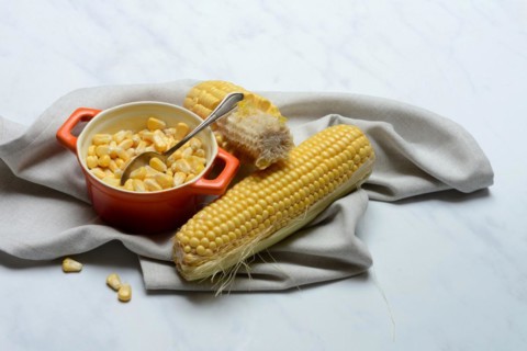 Fresh maize kernels in pots and cobs, corn (Zea mays)