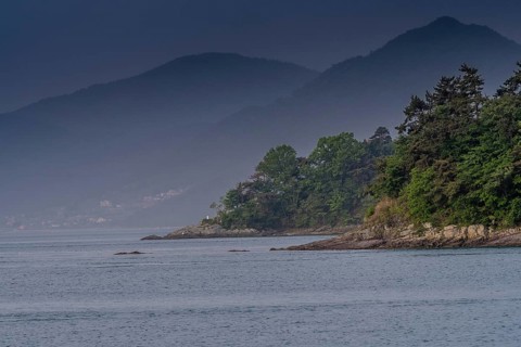 Landscape of shoreline with lush green trees and small mountains shrouded in fog and mist in the