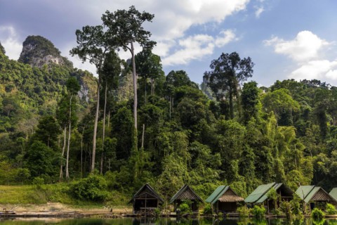 Floating huts of the inhabitants in Khao Sok National Park, forest, jungle, trekking, nature,