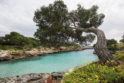 Cala Mitjana, Cala d'Or, Majorca, Balearic Islands, Spain, Europe