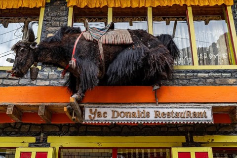 Yak donalds restaurant, Kagbeni, Kingdom of Mustang, Nepal, Asia
