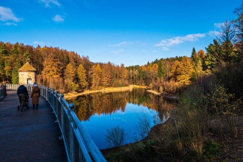 Autumn forest reflected in a dam under a clear blue sky, walkers on the dam wall, Ronsdorfer