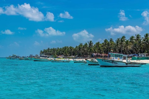 Little boats before a palm fringed white sand beach, Agatti Island, Lakshadweep archipelago, Union