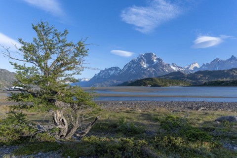 Shores of Lago Grey, Torres del Paine National Park, Parque Nacional Torres del Paine, Cordillera