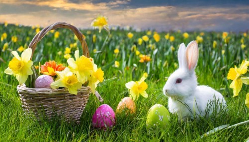 Ai generated, An Easter basket with coloured eggs in a meadow with colourful flowers, in the basket