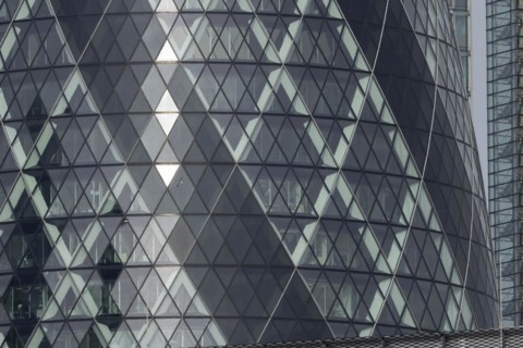 The Gherkin skyscraper building close up of window details with two Herring gull (Larus argentatus)