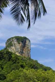 Limestone cliffs at Railay Beach, limestone, limestone cliffs, travel, holiday, tourism, nature,