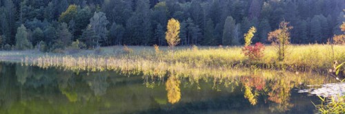 Autumn at Schwansee, near Hohenschwangau, Romantic Road, Ostallgaeu, Bavaria, Germany, Europe