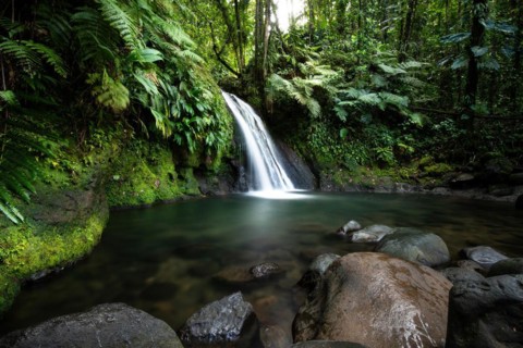 Pure nature, a waterfall with a pool in the forest. The Ecrevisses waterfalls, Cascade aux