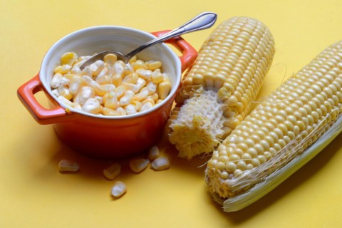 Fresh maize kernels in pots and cobs, corn (Zea mays)