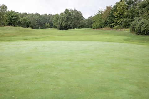 A wide view of a quiet golf course with lush green lawns and trees