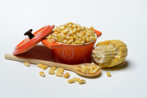 Fresh maize kernels in pots and cobs, corn (Zea mays)