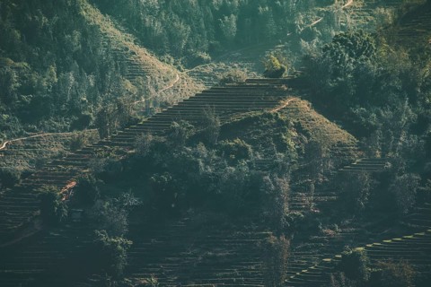Dark and moody cinematic scenic of traditional terraced rice paddy in Lao Cai in Sa pa, Vietnam,