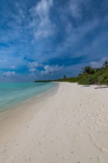 White sand beach, Parli 1 island, Lakshadweep archipelago, Union territory of India