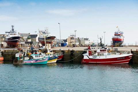Colourful fishing boats in the harbour, Guilvinec, Finistere, Brittany, France, Europe