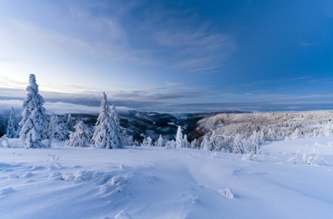 Winter on the Feldberg in front of sunrise, Breisgau-Hochschwarzwald district, Baden-Wuerttemberg,