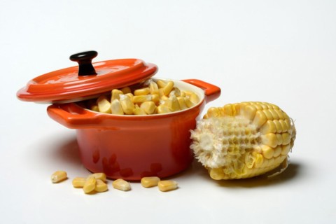 Fresh maize kernels in pots and cobs, corn (Zea mays)