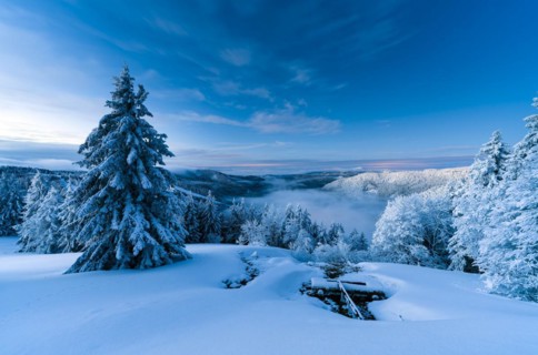 Winter on the Feldberg in front of sunrise, Breisgau-Hochschwarzwald district, Baden-Wuerttemberg,