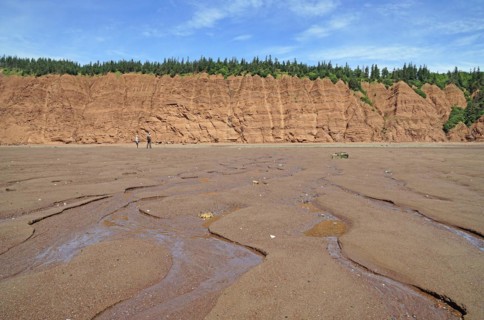 Wooded cliffs, red sandstone, beach at low tide, Five Islands Provincial Park, Fundy Bay, Nova