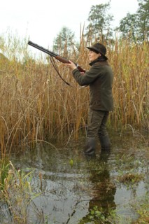 Huntress standing in the water, waiting eagerly for approaching mallards (Anas platyrhynchos) on