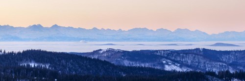 View from the Feldberg over the Herzogenhorn to the Swiss Alps, in front of sunrise,