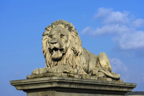 Lion of the Chain Bridge, travel, city trip, tourism, Eastern Europe, architecture, building,