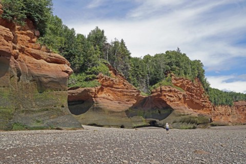Wooded cliffs, red sandstone, Five Islands Provincial Park, Fundy Bay, Nova Scotia, Canada, North
