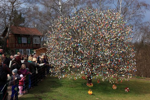 Many colourful Easter eggs on a tree, Easter custom, The Saalfeld Easter egg tree, an apple tree of