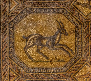 Basilica of Aquileia from the 11th century, largest floor mosaic of the Western Roman Empire,