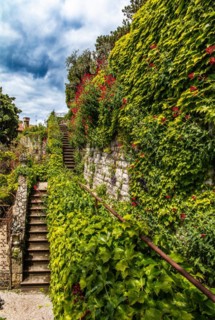 Castle garden, Duino Castle, with spectacular sea view, private residence of the Princes of Thurn