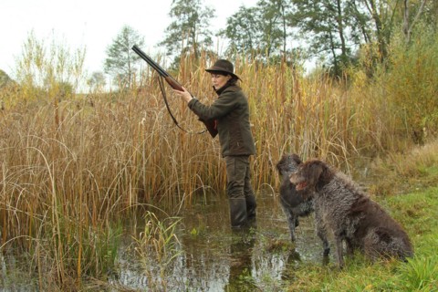 Huntress standing in the water, waiting eagerly for approaching ducks on the occasion of a water