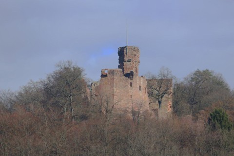 Hohenecken Castle, forest, mountain, Hohenecken, Kaiserslautern, Rhineland-Palatinate, Germany,