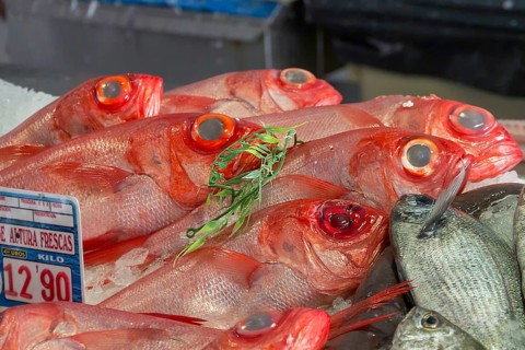 Fish market, fish hall, Playa Blanca, Lanzarote, Canary Island, Spain, Europe