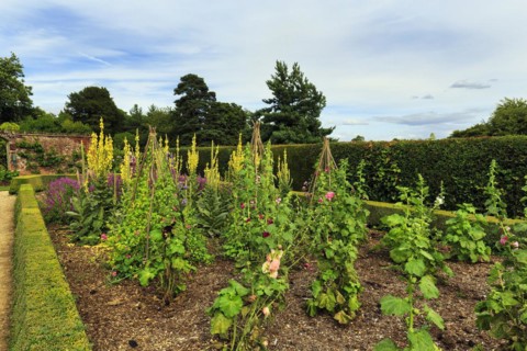 Down House Garden, garden at the home of the British naturalist Charles Darwin, Downe, Kent,