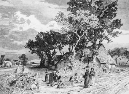 Island Foehr, North Sea, Schleswig-Holstein Wadden Sea, farmer's cottage, thatched roof, rural