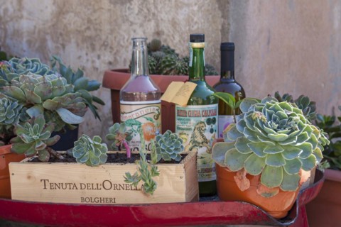 Decoration in front of a wine shop, Bolgheri, Castagneto Carducci, Province of Livorno, Tuscany