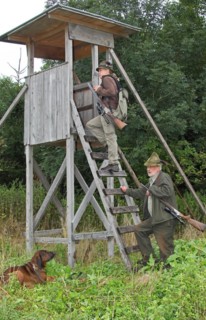 Huntsman and huntress climb onto a high seat, hunting dog Bavarian Mountain Hound laid down,