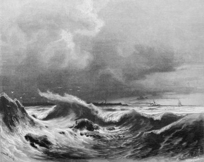 Strong surf on the Baltic Sea coast, dark sky, storm, weather, danger, seagulls, Germany,